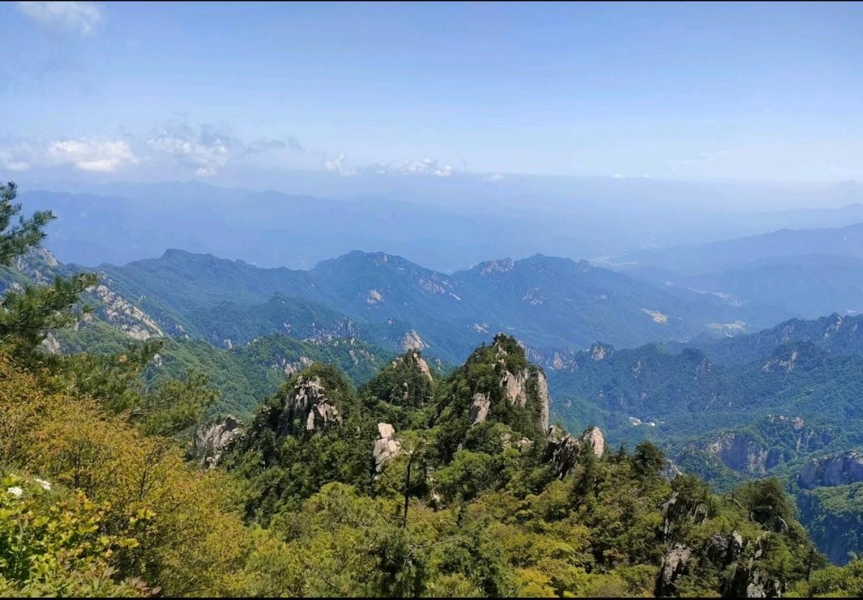 MS88明升官网