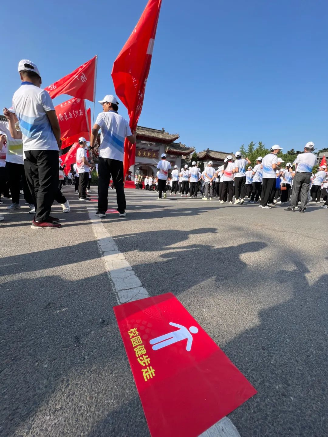 MS88明升官网
